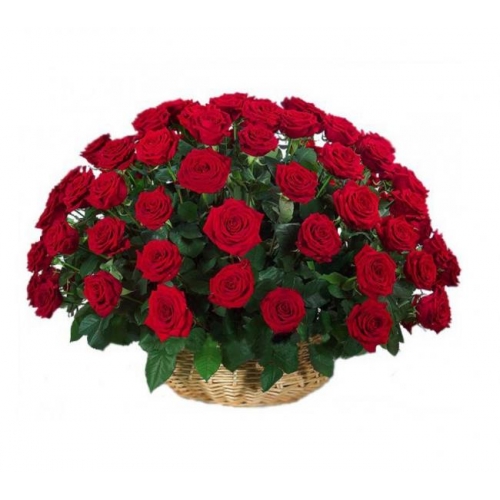 Regretless Love - 48 Stems Basket